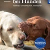 Abbruchsignale bei Hunden