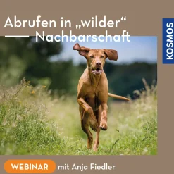 Abrufen in wilder Nachbarschaft