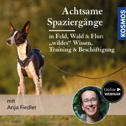 Achtsame Spaziergänge in Feld, Wald & Flur: wildes Wissen, Training & Beschäftigung
