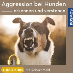 Aggression bei Hunden – erkennen und verstehen