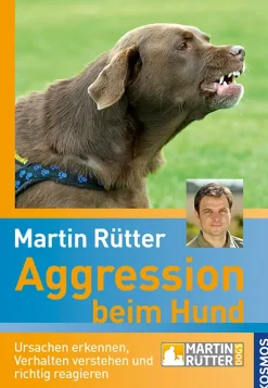 Aggression beim Hund