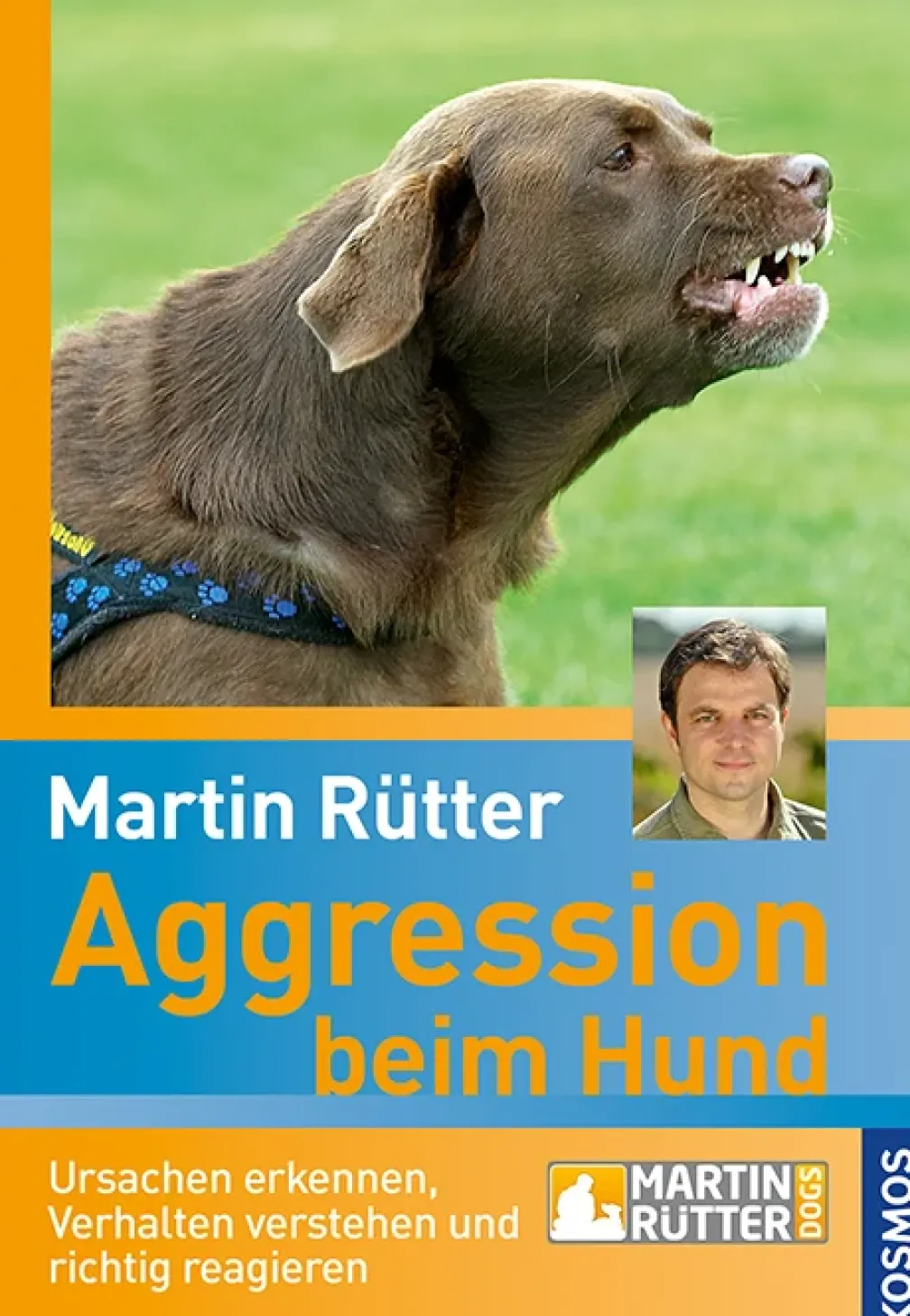 Aggression beim Hund