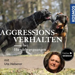 Aggressionsverhalten bei Hundebegegnungen