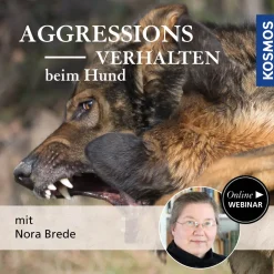 Aggressionsverhalten beim Hund