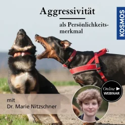 Aggressivität als Persönlichkeitsmerkmal