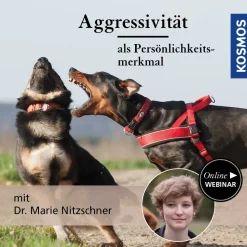 Aggressivität als Persönlichkeitsmerkmal