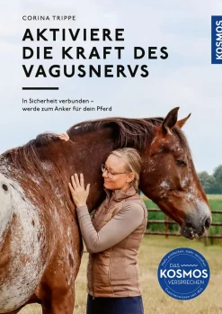 Aktiviere die Kraft des Vagusnervs