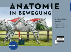 Anatomie in Bewegung