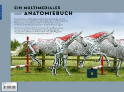Anatomie in Bewegung