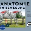 Anatomie in Bewegung