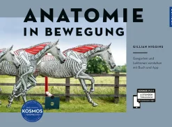 Anatomie in Bewegung