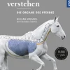 Anatomie verstehen - Die Organe des Pferdes