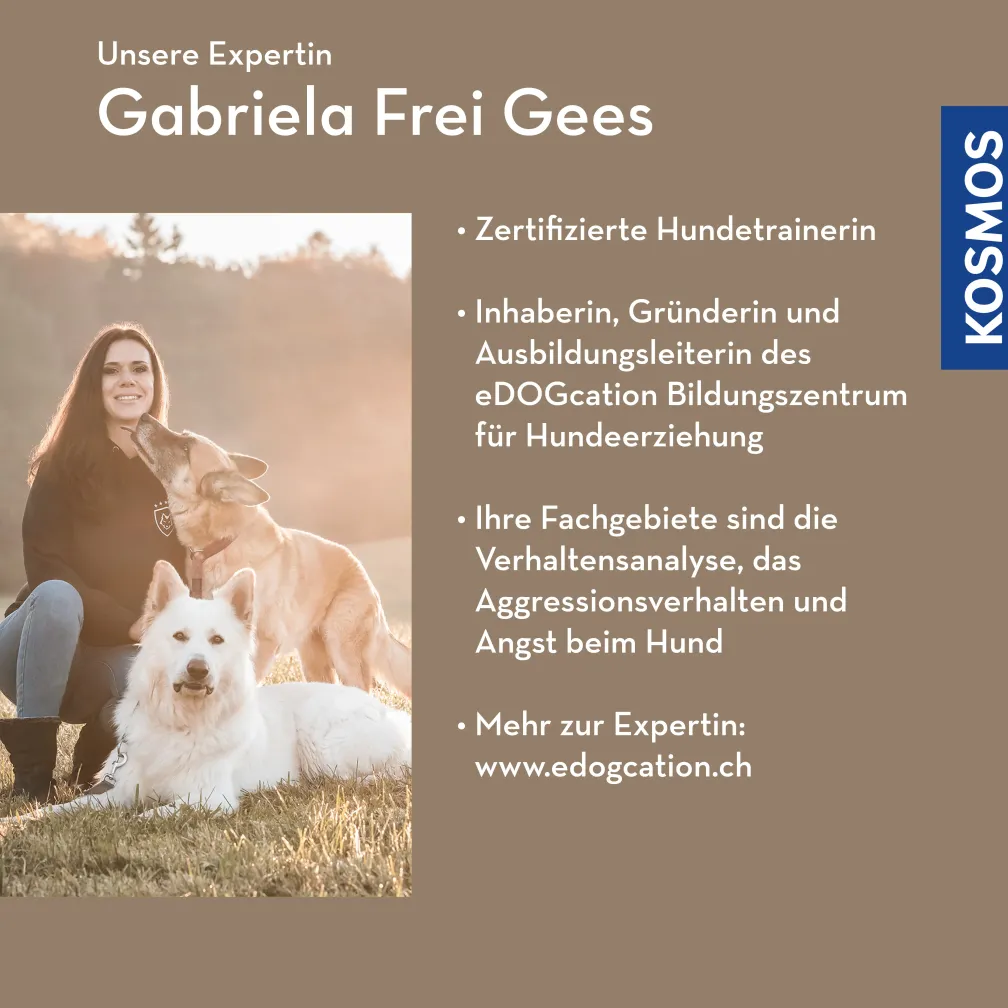 Angst-Aggression beim Hund
