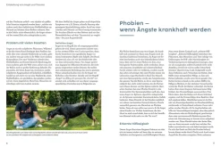 Angst bei Hunden - mit Martin Rütter