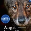 Angst beim Hund