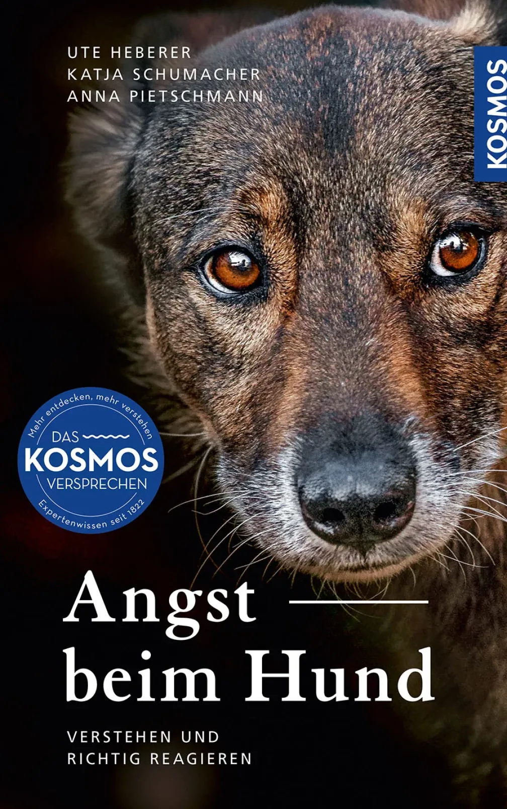 Angst beim Hund