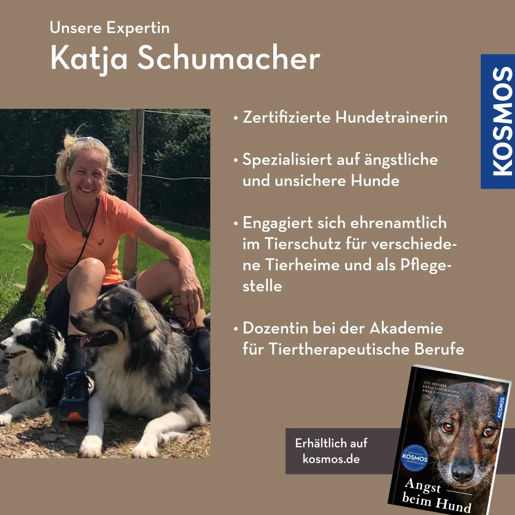 Angst beim Hund – Fallbeispiele und Trainingsansätze