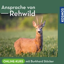 Ansprache von Rehwild - Online-Kurs mit Burkhard Stöcker