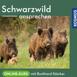Ansprechen von Schwarzwild – Online-Kurs mit Burkhard Stöcker