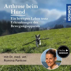 Arthrose beim Hund