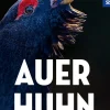 Auerhuhn