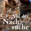 Auf der Nachsuche
