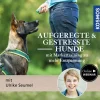 Aufgeregte & gestresste Hunde – mit Markertraining zu mehr Entspannung