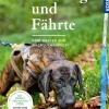 Ausbildung und Fährte