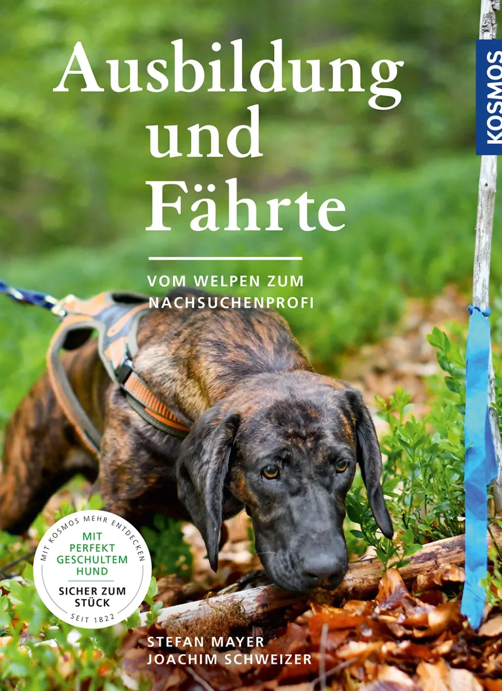 Ausbildung und Fährte