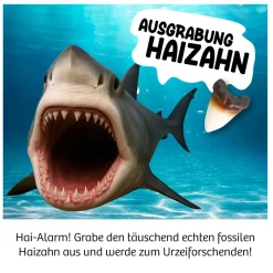 Ausgrabung Haizahn