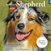 Australian Shepherd
