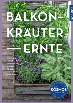 Balkon-Kräuter-Ernte
