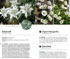 Basic Alpenblumen