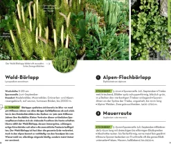 Basic Alpenblumen