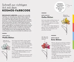 BASIC Blumen