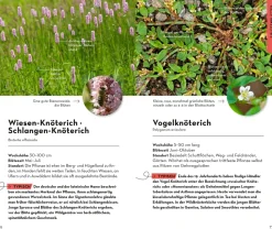 BASIC Blumen
