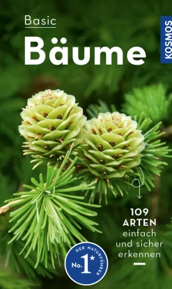 BASIC Bäume