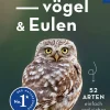 Basic Eulen Greifvögel