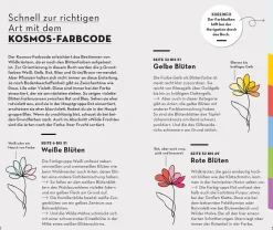 BASIC Früchte und Wildkräuter