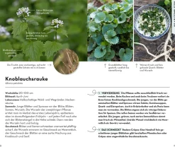 BASIC Früchte und Wildkräuter