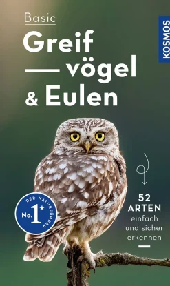 Basic Greifvögel und Eulen