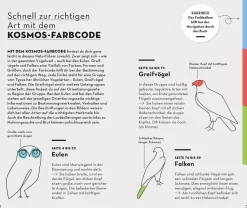 Basic Greifvögel und Eulen