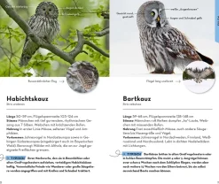 Basic Greifvögel und Eulen