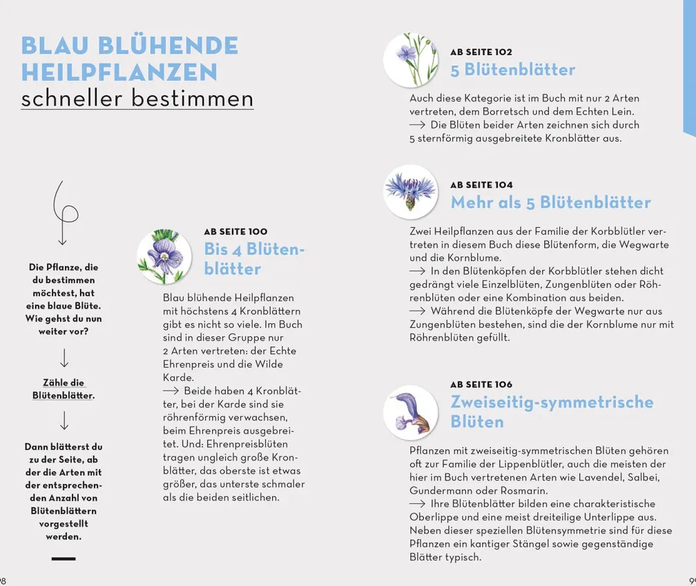 Basic Heilpflanzen