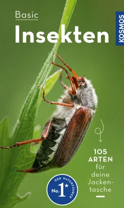 BASIC Insekten