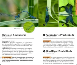 BASIC Insekten