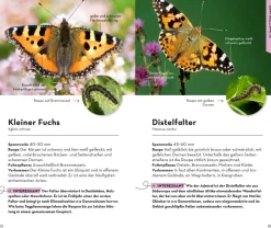 BASIC Insekten