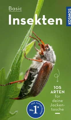 BASIC Insekten