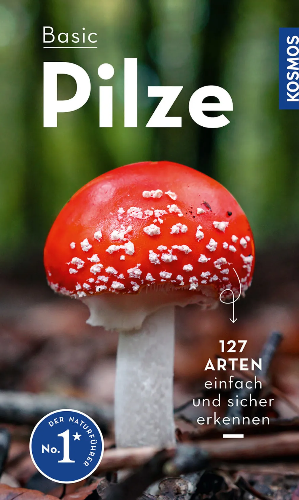 BASIC Pilze