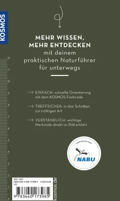 Basic Schmetterlinge